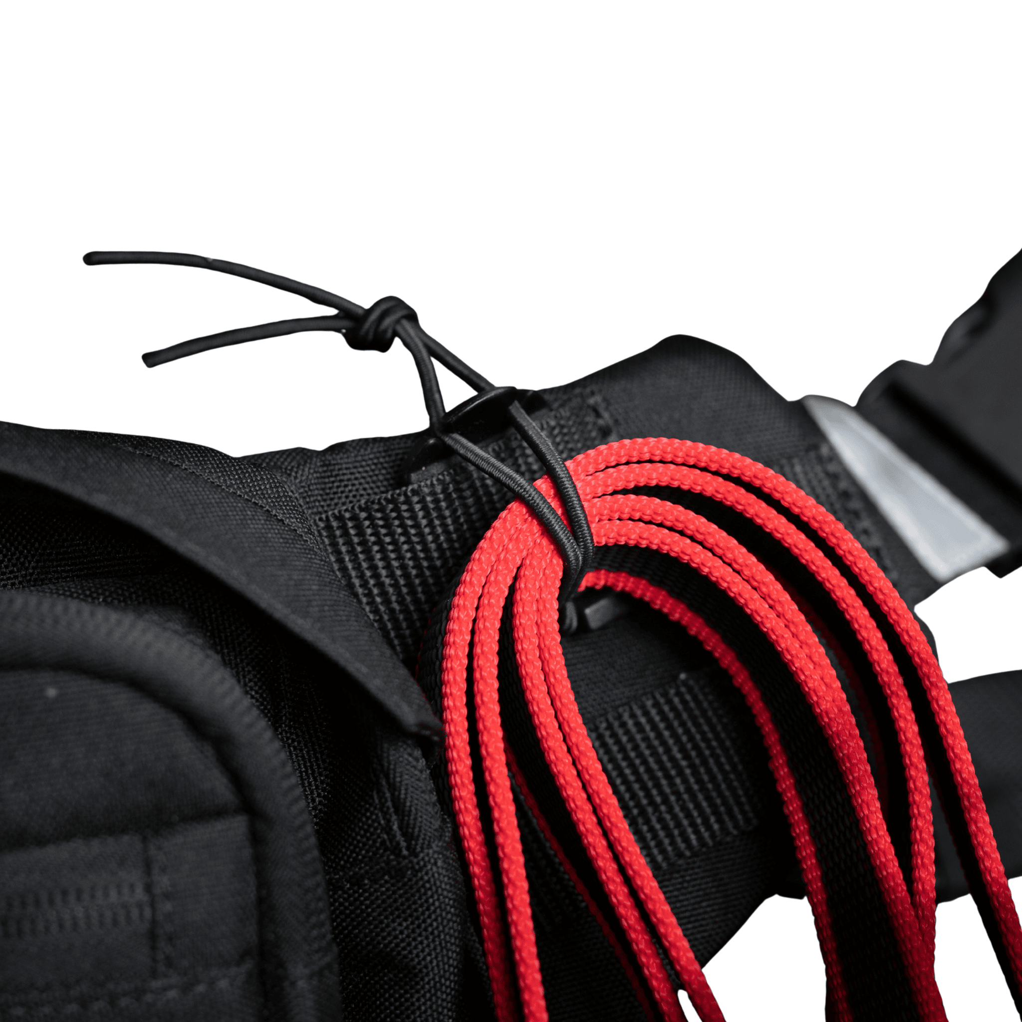MOLLE Web Dominator mit Leine an TamBe Bag