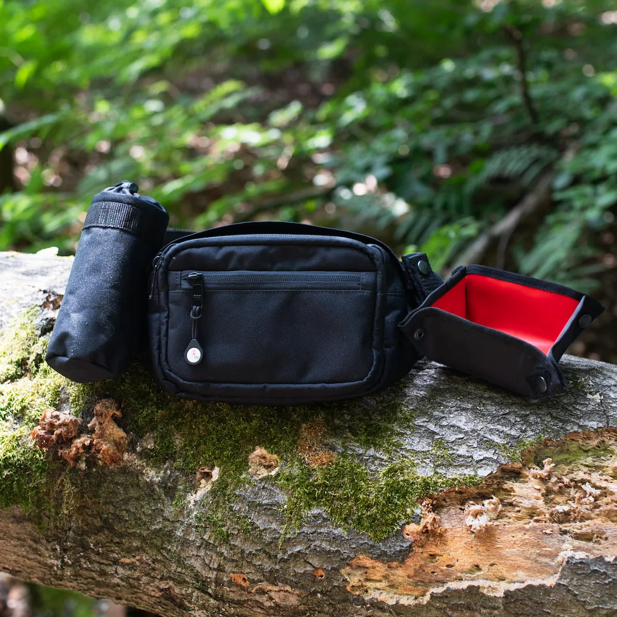 TamBe Komplett Set bestehend aus Bag, Flaschenhalter und faltbarem Wassernapf