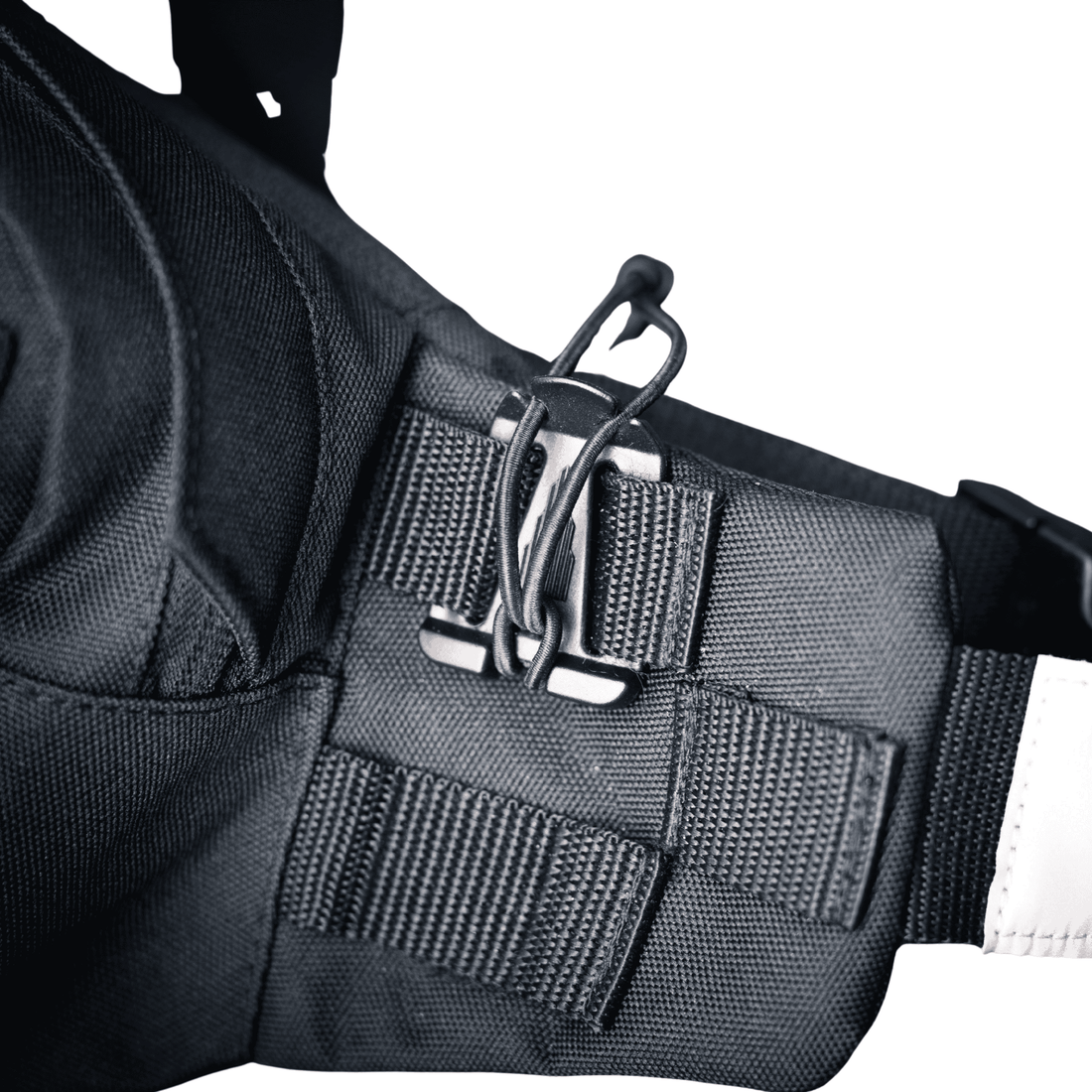 Molle - Web-Dominator