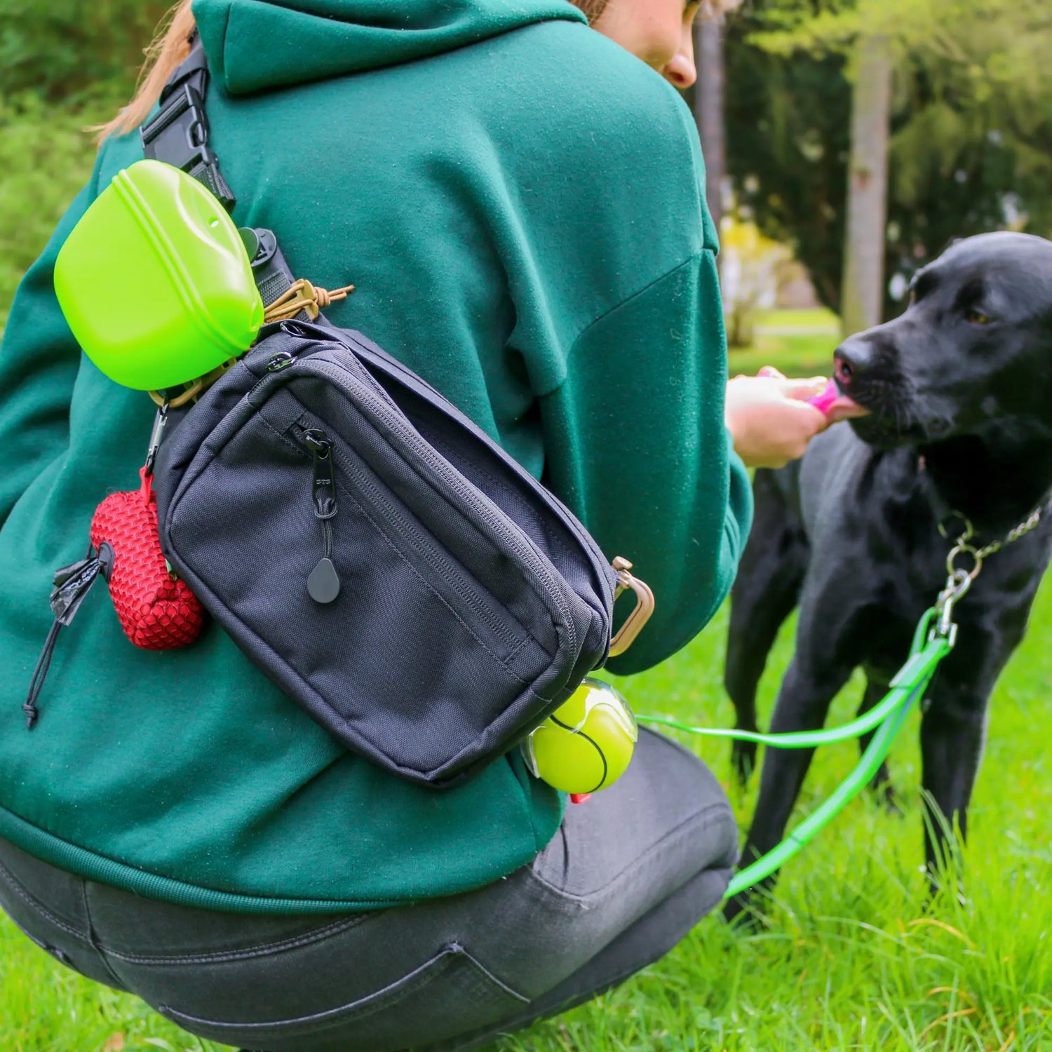 ausgestattete_TamBe_Bag_crossover_mit_Hund